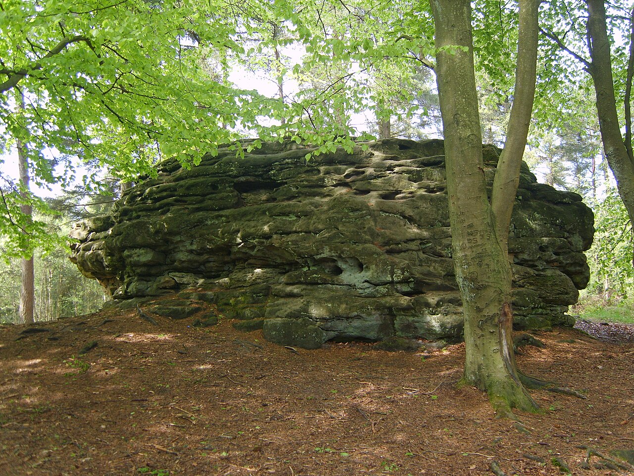 Adder stone