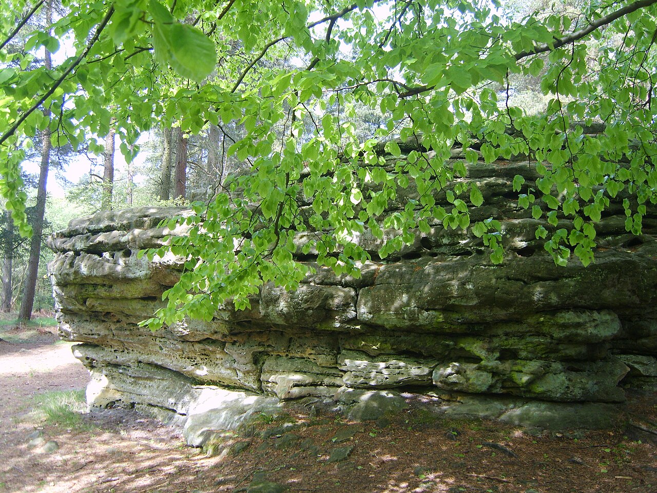 Adder stone